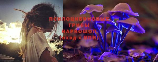 дживик Нязепетровск