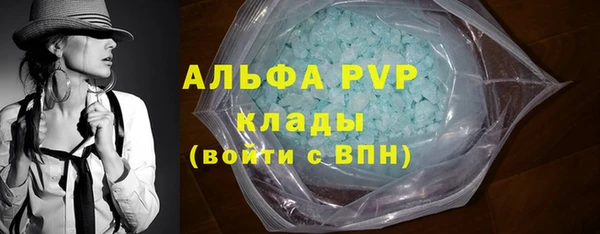 бошки Гусев