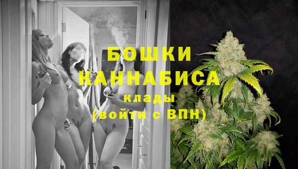 индика Михайловка