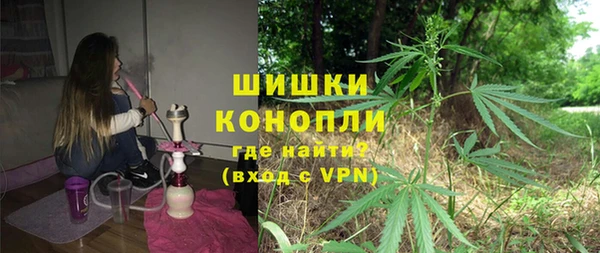 бошки Гусев