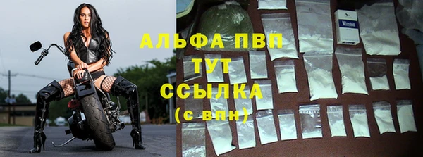 бошки Гусев