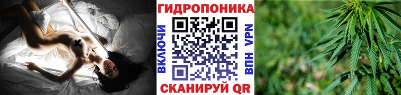 Марихуана гибрид Пустошка