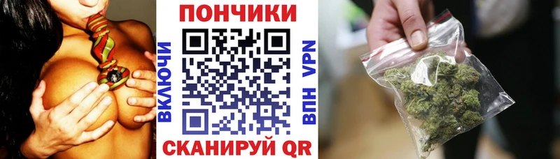 Конопля Bruce Banner  купить   Пустошка 